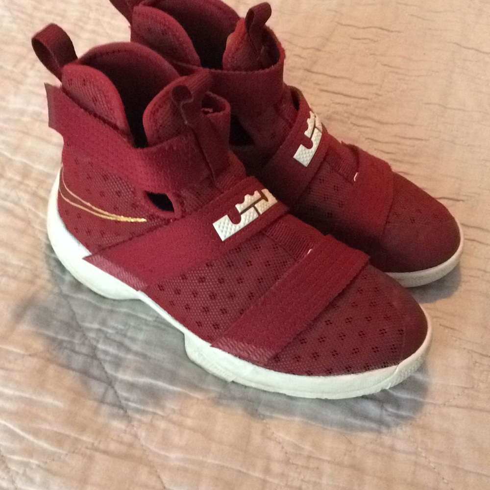 Lebron shoes